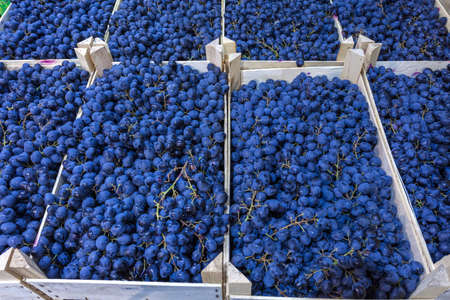 Ripe grapes in wooden boxes. Local produce at the autumn farmers' market. High quality photoの写真素材
