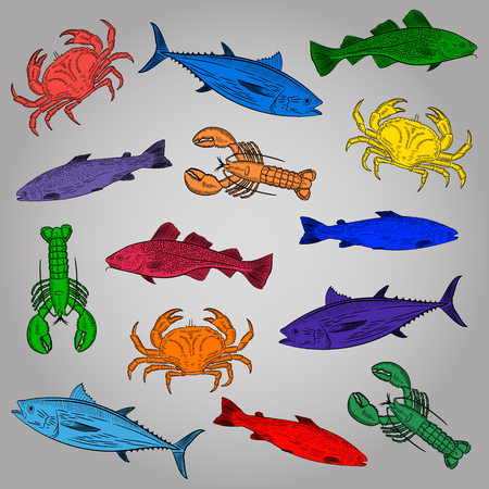 A set of drawings of different colors on the theme of seafood. Salmon, tuna, cod, lobster, crab. Vector illustrationのイラスト素材