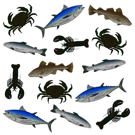 A set of color drawings on the theme of seafood. Salmon, tuna, cod, lobster, crab. Vector illustration.のイラスト素材