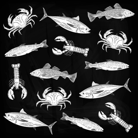 A set of drawings on the theme of seafood. Salmon, tuna, cod, lobster, crab. Vector illustration.のイラスト素材