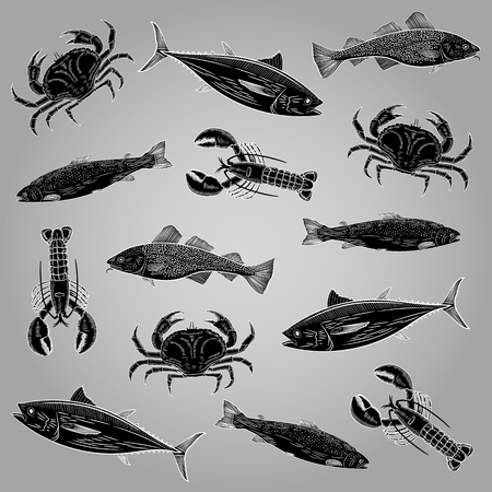 Template on the theme of seafood. Painted salmon, tuna, cod, lobster, crab. A picture in black. Vector illustration.のイラスト素材