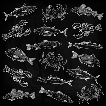 A set of popular sea fish, crabs, lobsters. Salmon, tuna, cod, mackerel, dorado, lobster, crab. Drawing chalk on a blackboard, vector illustration.のイラスト素材