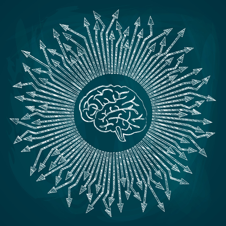 Sketch of the drawn human brain and directed from it in different directions arrows. Drawing chalk on a blackboard, vector illustrationのイラスト素材