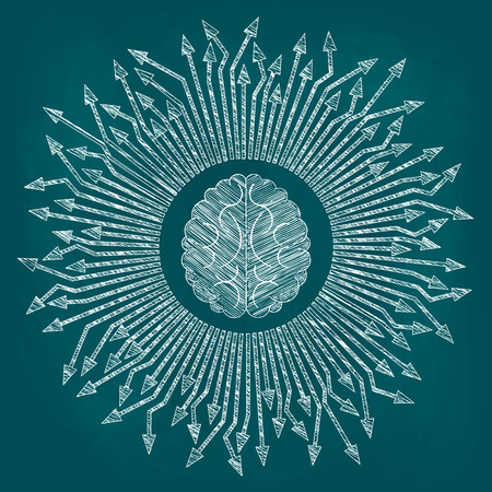 Sketch of the drawn human brain and directed from it in different directions arrows. Drawing chalk on a blackboard, vector illustration.のイラスト素材