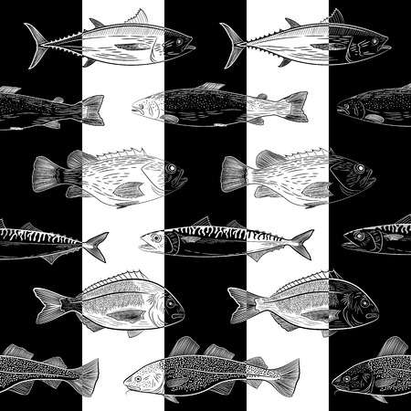 A set of popular sea fish. Tuna, cod, dorado, salmon, sea bass, mackerel.Objects are located on a striped black and white background. Sketch, vector illustrationのイラスト素材