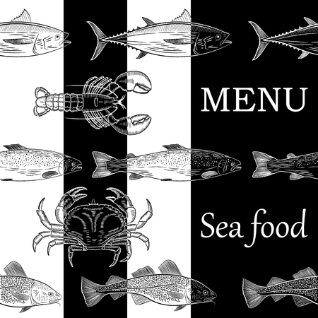 Pattern of painted popular sea fish and crab, lobster. Salmon, tuna, cod, mackerel, dorado, lobster, crab. The objects are located chaotically on a black and white background. Vector illustrationのイラスト素材