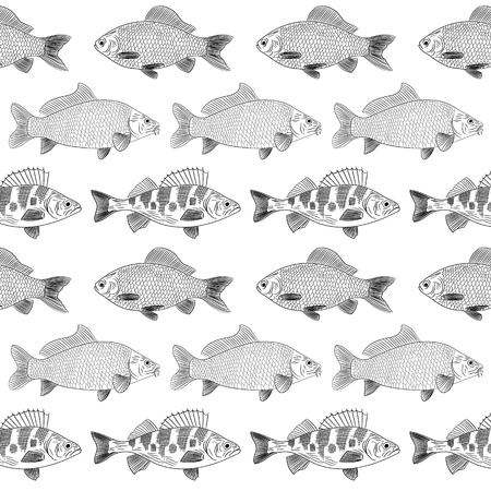 Pattern of painted river fish on a white background. The objects are located in parallel. Sketch of river fish: carp, perch, carp. Vector illustrationのイラスト素材