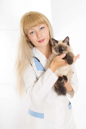 veterinarianの写真素材
