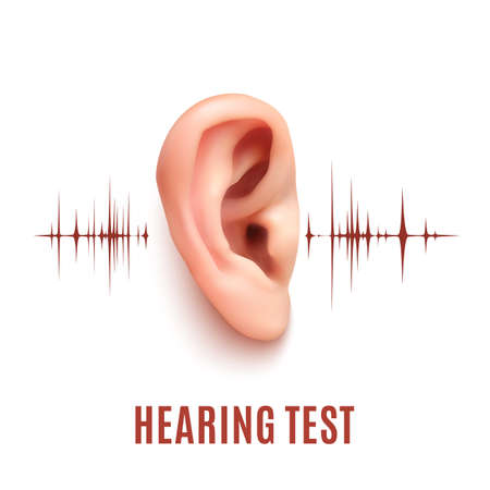 Hearing test. Realistic ear on white background with sound waves. Vector illustration.のイラスト素材