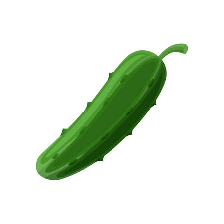 Cucumber icon isolated on white background. Vector illustration.のイラスト素材