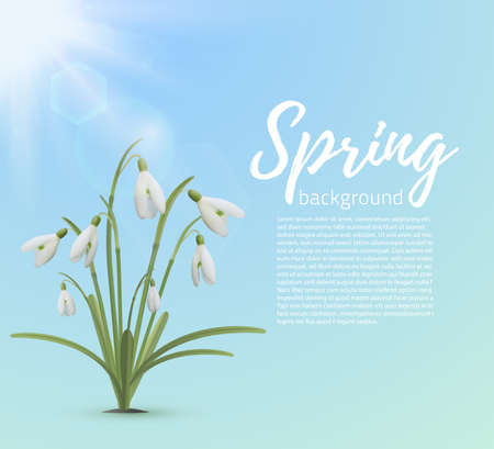 Spring background template. Snowdrop flowers with sun on blue background. Vector illustration.のイラスト素材