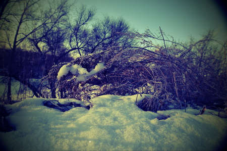 spring picture in the style of lomoの写真素材