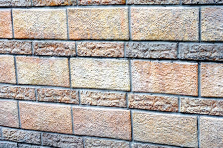 brick wall in the city