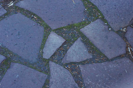 old tile on the park avenueの写真素材