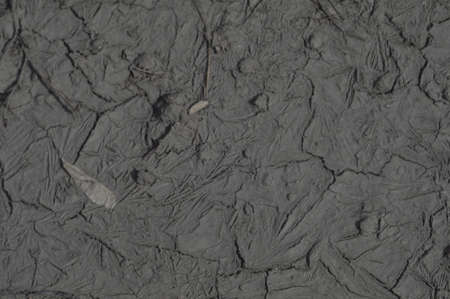 drawing on dirtの写真素材