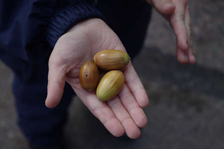 My treasureの写真素材