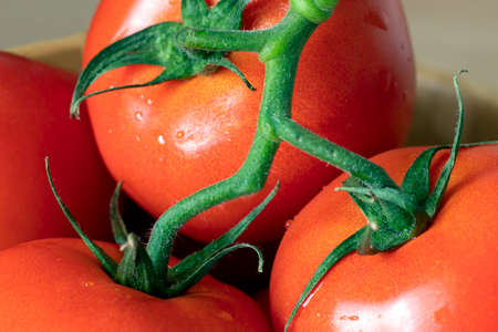 three red tomatoes with a piece of branch close up