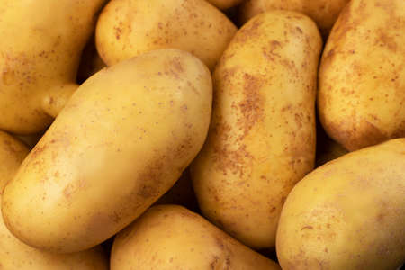 young washed potatoes close upの写真素材
