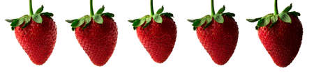 ripe natural strawberry berry with various shadesの写真素材
