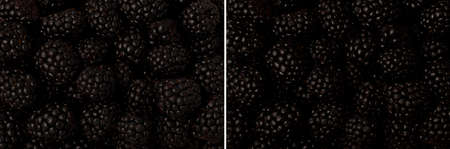 Juicy ripe blackberries in bulk under various lighting sourcesの写真素材