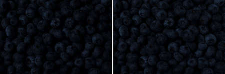 fresh blueberries in bulk under different lightsの写真素材