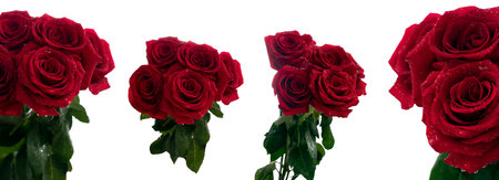 Bouquet of five red red roses with dew drops close up in daylight with different views on a white backgroundの写真素材