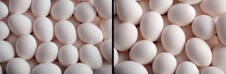 Pile of white chicken eggs in daylight at different scales