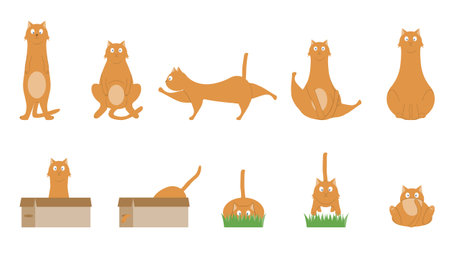 A set of illustrations of cute cats in different poses.のイラスト素材