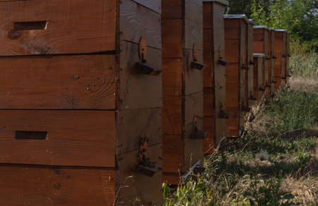 ten brown bee houses stand on the ground in the fresh air on a summer day