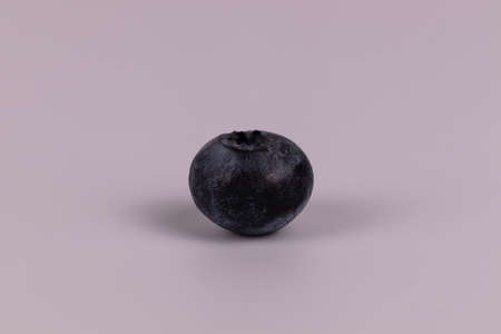 Close photo of side view of one black blueberry on white backgroundの写真素材