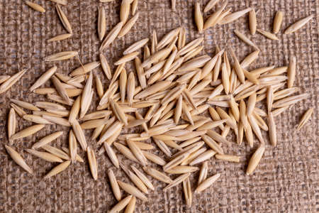 Close-up top view on a group of oat seeds laying on textileの写真素材