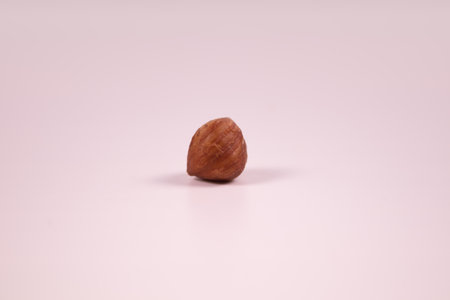 hazelnut on a white background close upの写真素材