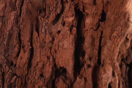 uneven wood with cracks and depressions