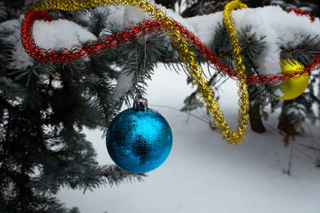 on the branches there are yellow and red intertwined Christmas ribbons, everything is covered with snow, on the same branch there are two Christmas tree decorations, blue and yellowの写真素材