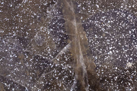 the frozen puddle is cracked