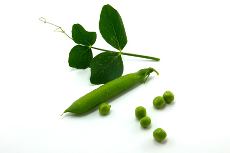 Green peas on a white background isolationの写真素材