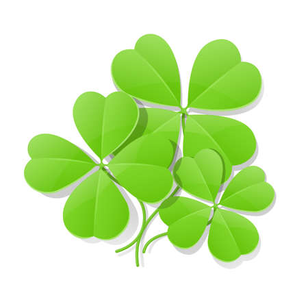clover four leaf for saint patrick's day vector illustration isolated on white background. のイラスト素材