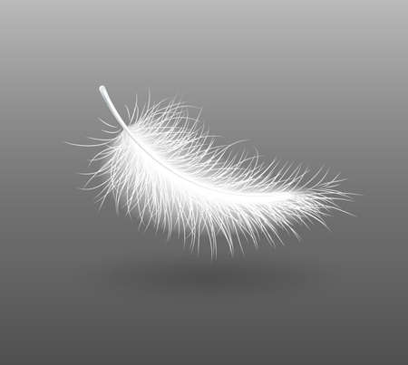feather falling light small white swan  vector illustration のイラスト素材