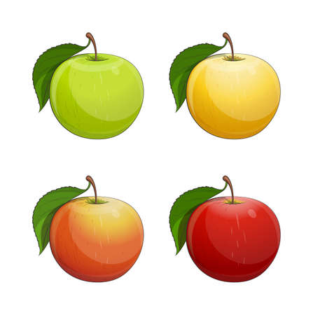 Ripe apple with green leaf. のイラスト素材