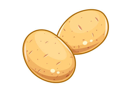 Couple potatoes vector illustration, Eps10 Isolated white backgroundのイラスト素材
