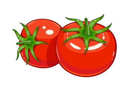 Pair red ripe tomato vector illustration, Eps10 Isolated white backgroundのイラスト素材