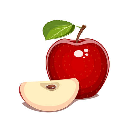 Red apple with leaf and clove. Natural sweet fruit. Eps10 isolated white background. Organic healthy  vegan food.のイラスト素材