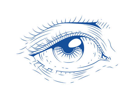 Eye illustration..のイラスト素材