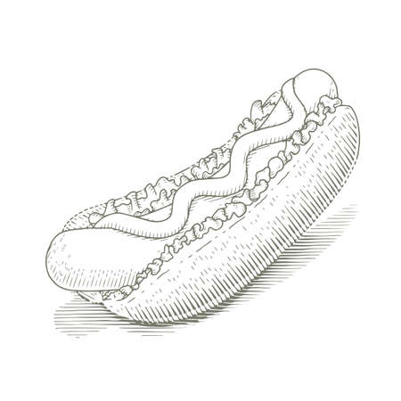 Hot dog. Fast food in engraving style.のイラスト素材