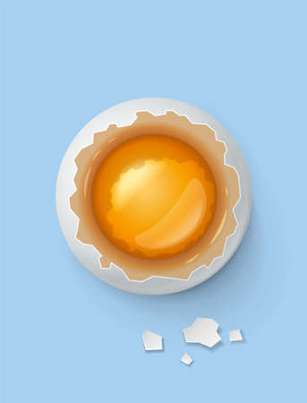 Broken egg with yolk and shell. Product for cooking breakfast. Organic food. Top view realistic raw...