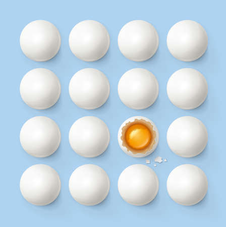 Set of eggs with yolk and shell. Product for cooking breakfast. Egg tray. Organic food. Top view realistic raw natural foodstuff on blue background.のイラスト素材