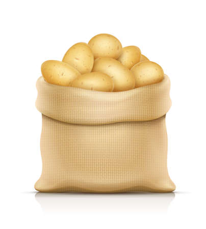 Burlap sack with potatos. Housekeeping and agriculture equipment. Open hessian bag for potato. Food ingredient. Natural product. Isolated white background. Eps10 vector illustration.のイラスト素材