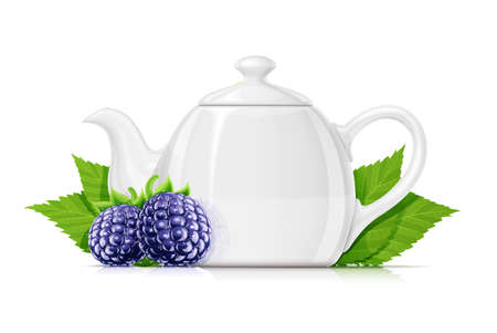 Blackberry tea. Fresh organic herbal drink. Juicy ripe fruit. Vegetarian meal. Healthy food. Yummy blackberries, Isolated on white background. Eps10 vector illustration.のイラスト素材