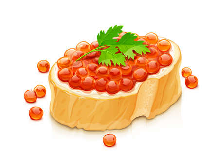 Sandwich with salmon caviar. Delicacy fish food, Isolated on white background. Eps10 vector illustration.のイラスト素材