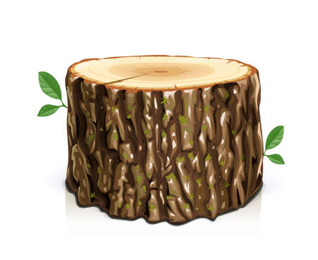 Wooden stump. Cut slice tree, isolated on white background. Eps10 vector illustration.のイラスト素材
